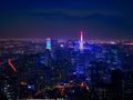 东京新宿高楼夜景，霓虹灯光璀璨，代表日本一区二区中一区最繁华的商业地标