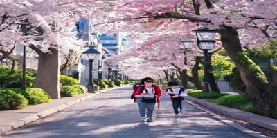 年轻留学生在东京大学校园内阅读，背景是樱花盛开的校园小径，代表在日本一区求学的中国留学生真实生活场景